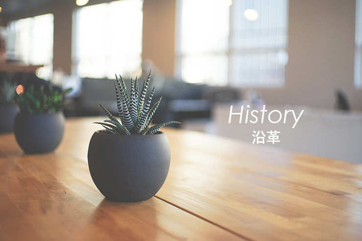 沿革のイメージ